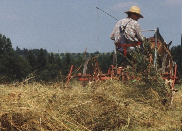 hay tedder for draft horses